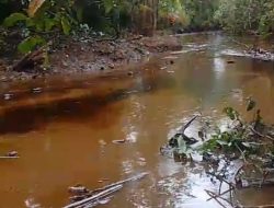 BAIN HAM RI Luwu Timur Desak PT Vale Indonesia Transparan Soal Kadar Zat Beracun dalam Insiden Tumpahan Minyak ke Danau Towuti