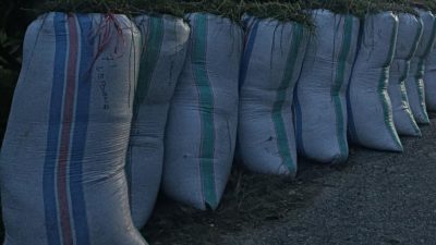 Petani Luwu Timur Keluhkan Harga Padi yang Tidak Sesuai HPP, Minta Pemerintah Terlibat Aktif