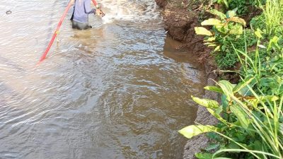 Dugaan Pelanggaran K3 oleh PT Vale Indonesia: Pembersihan Sungai Tanpa APD dan Izin Resmi